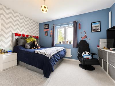 Picture 11